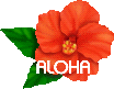Aloha